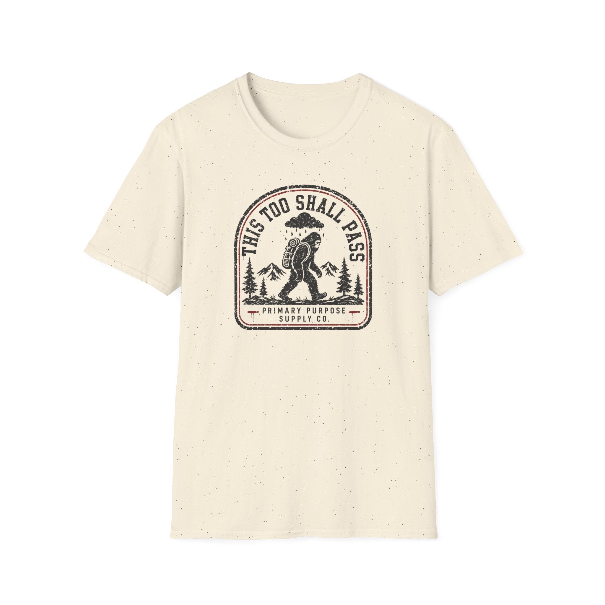 This Too Shall Pass BF T-Shirt