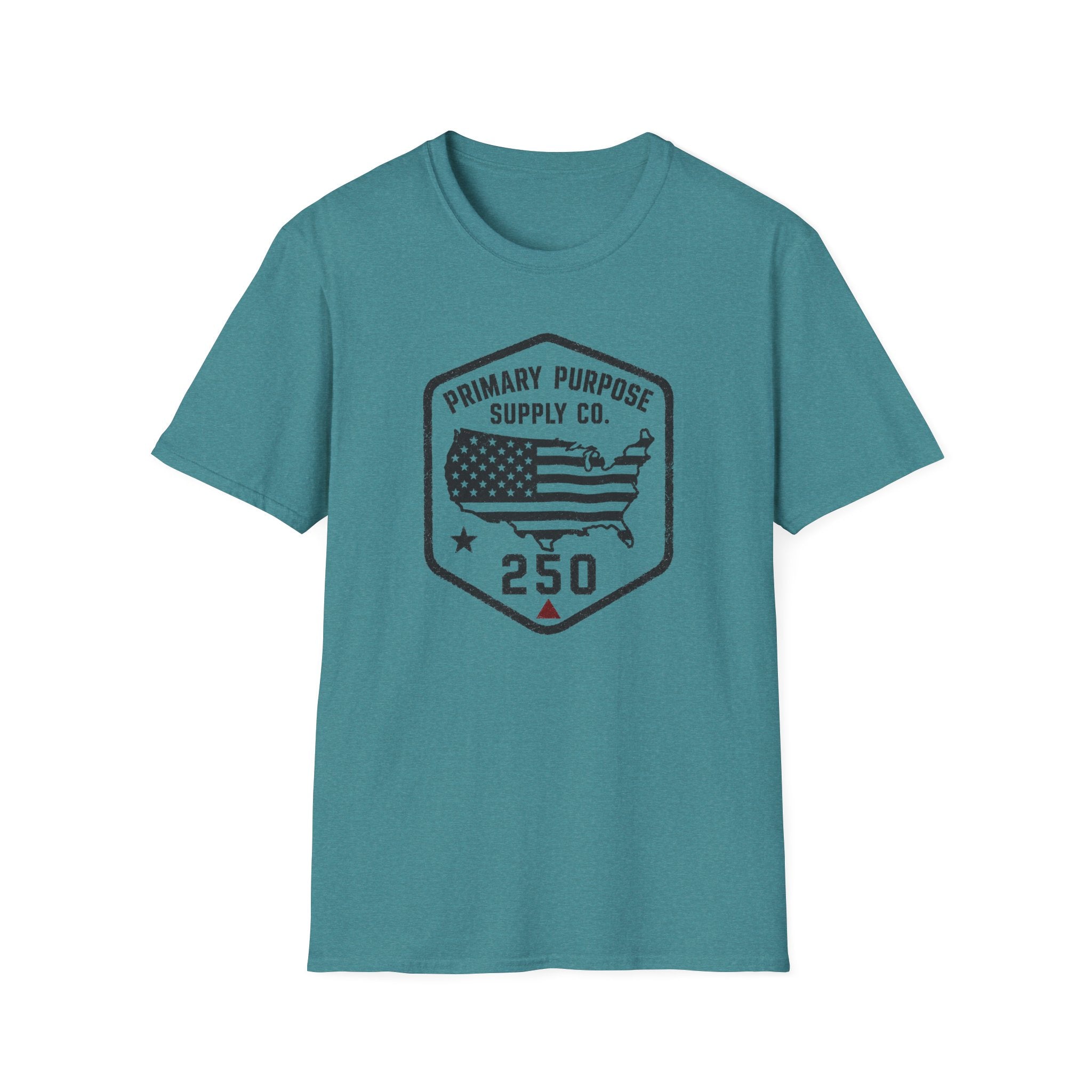 USA250 T-Shirt