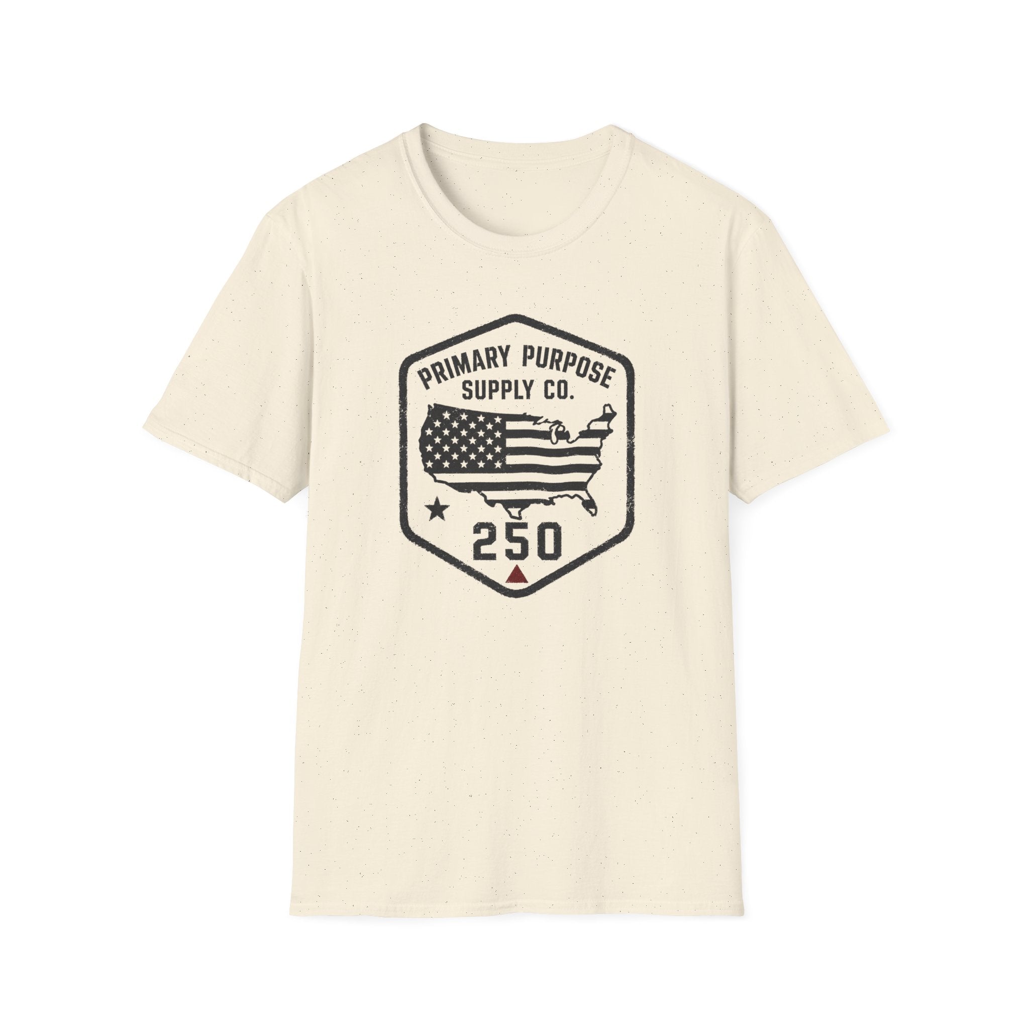USA250 T-Shirt