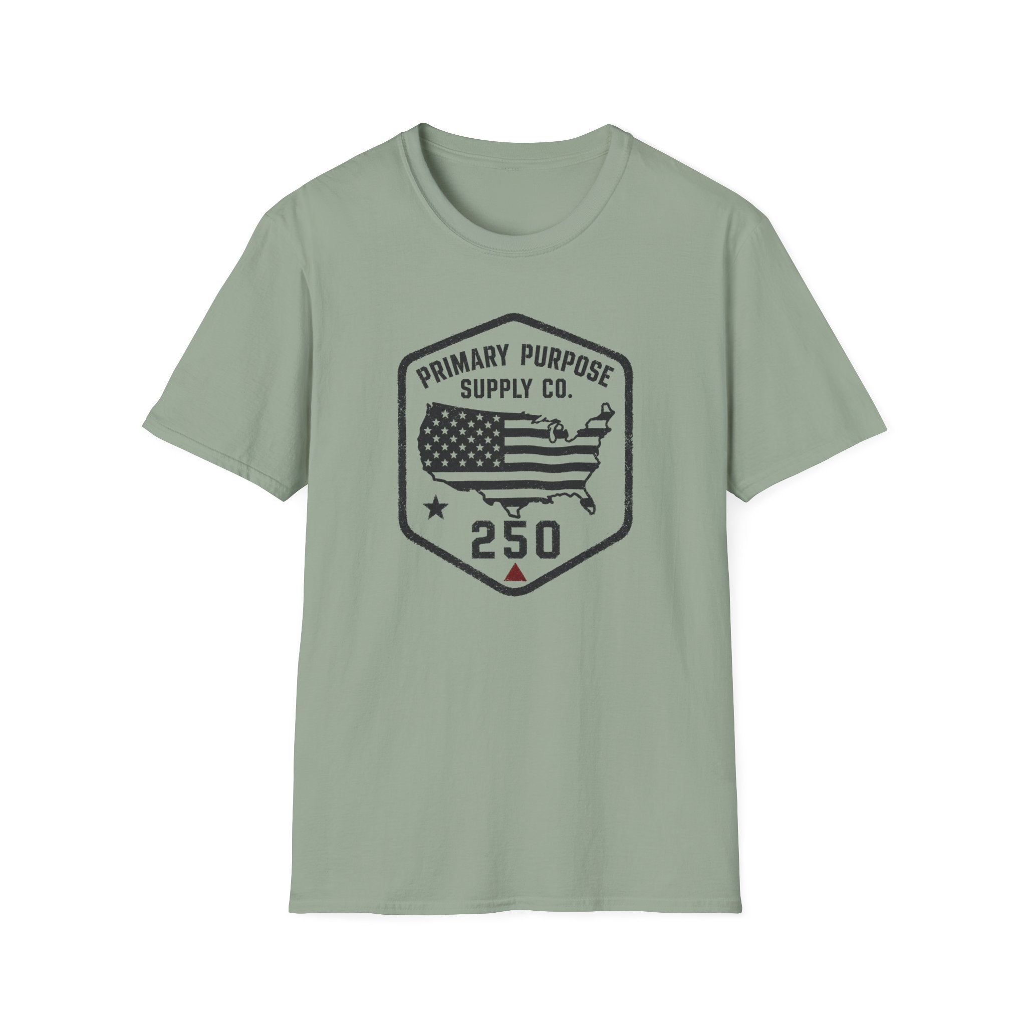 USA250 T-Shirt