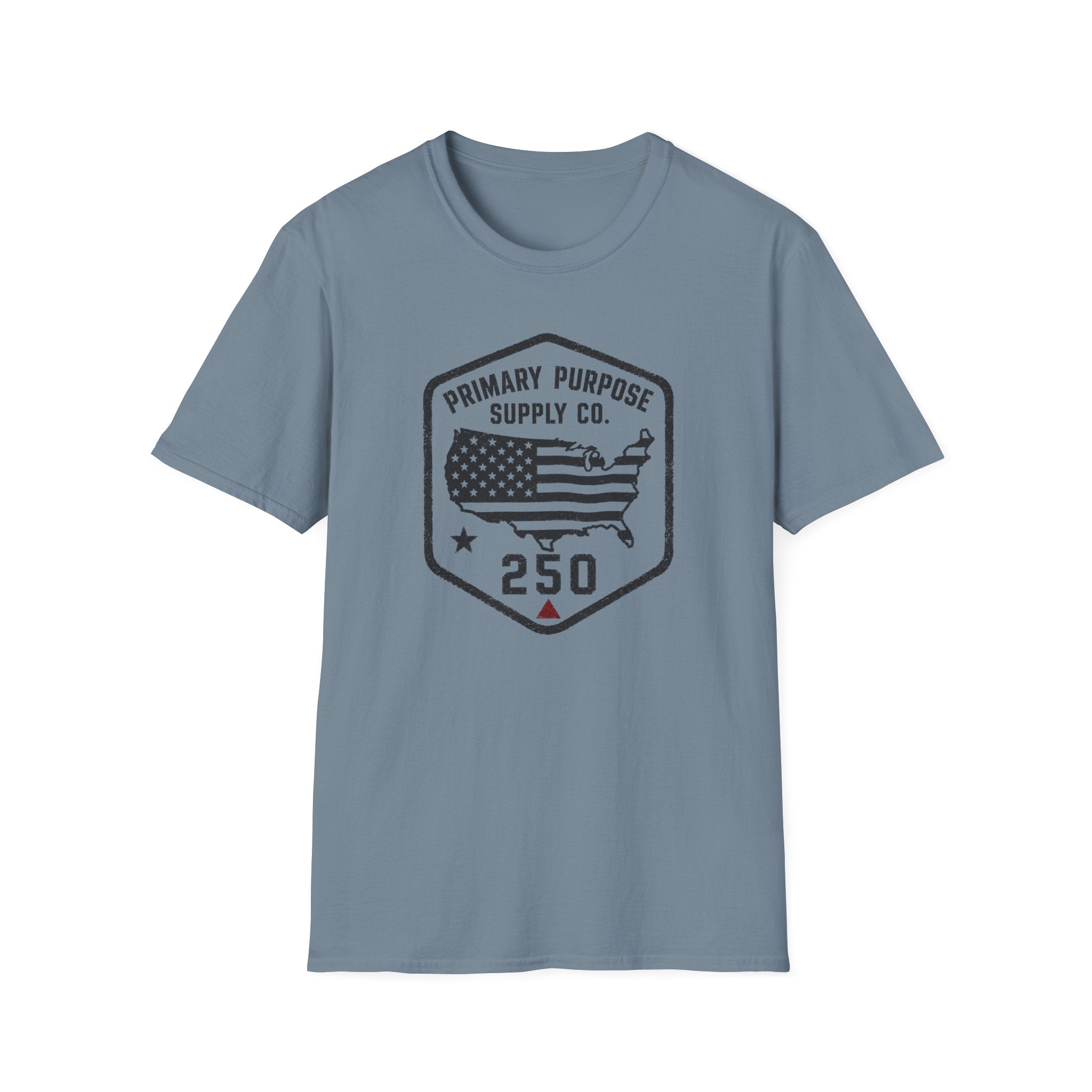 USA250 T-Shirt