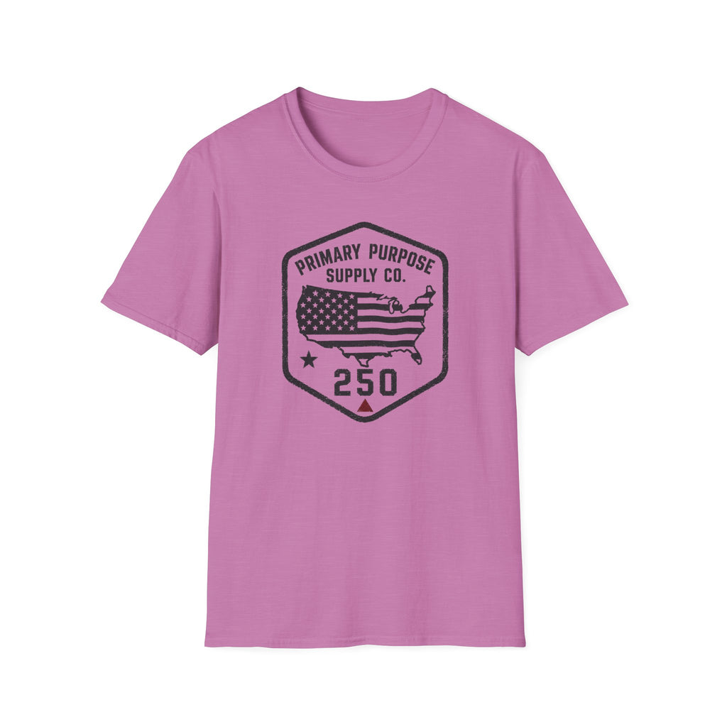 USA250 T-Shirt